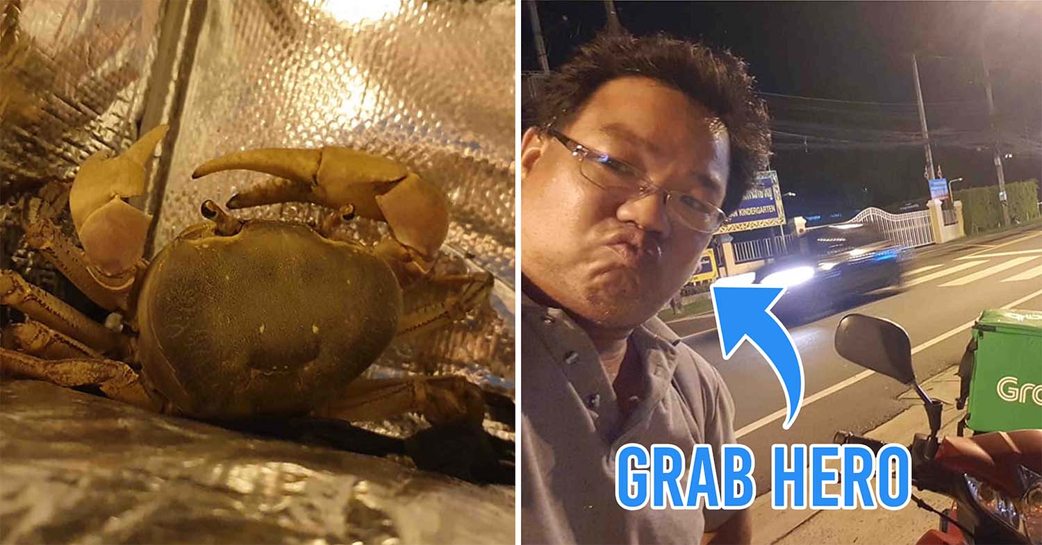 Grab driver rescues crab