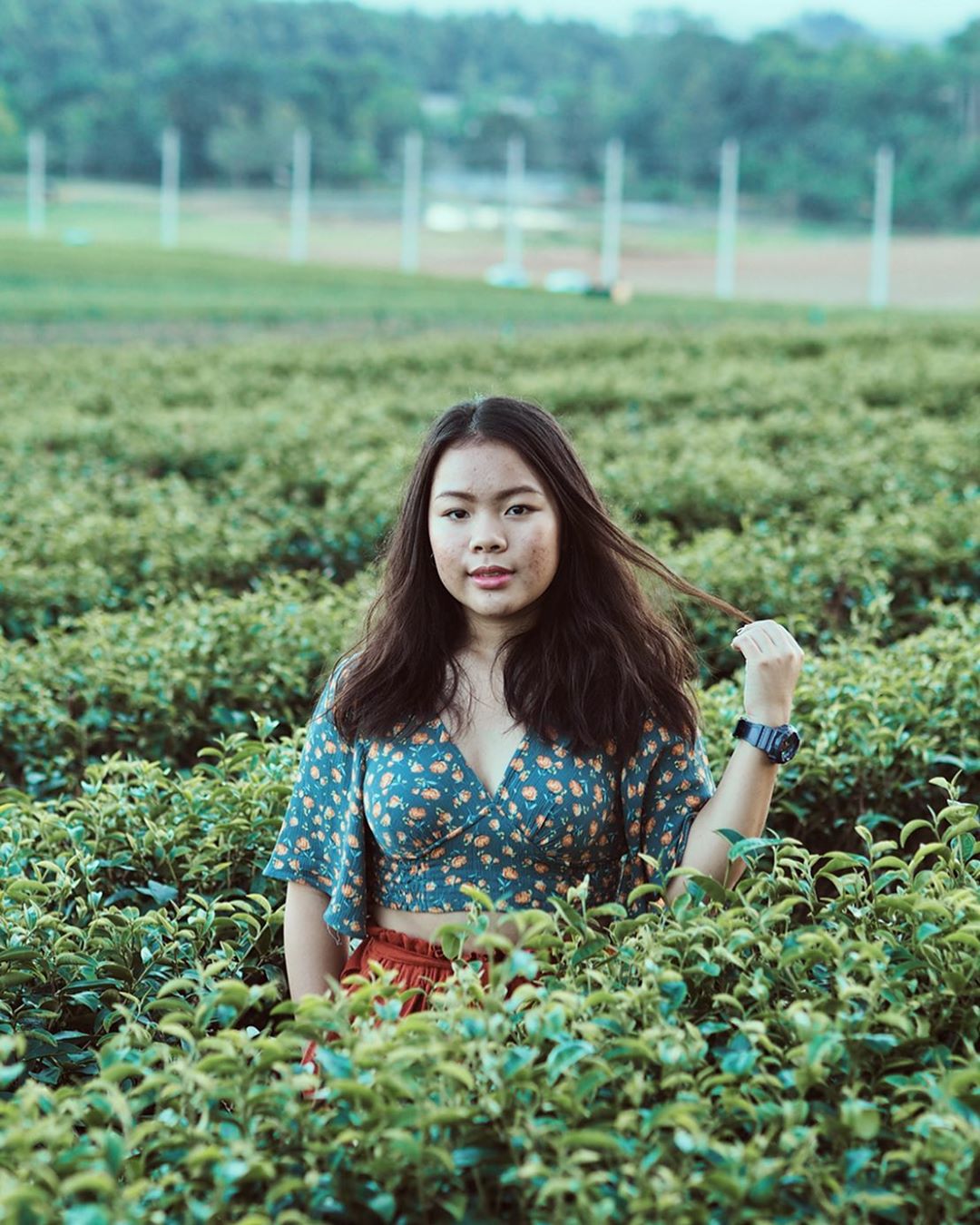 tea plantations singha park