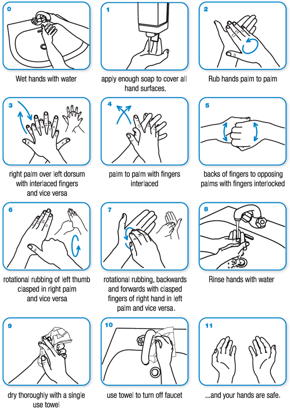 WHO hand washing technique