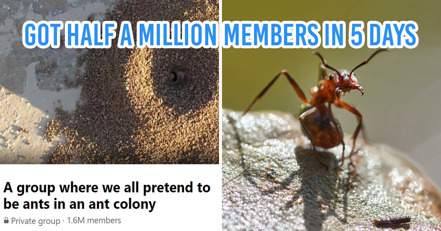 Facebook ant group