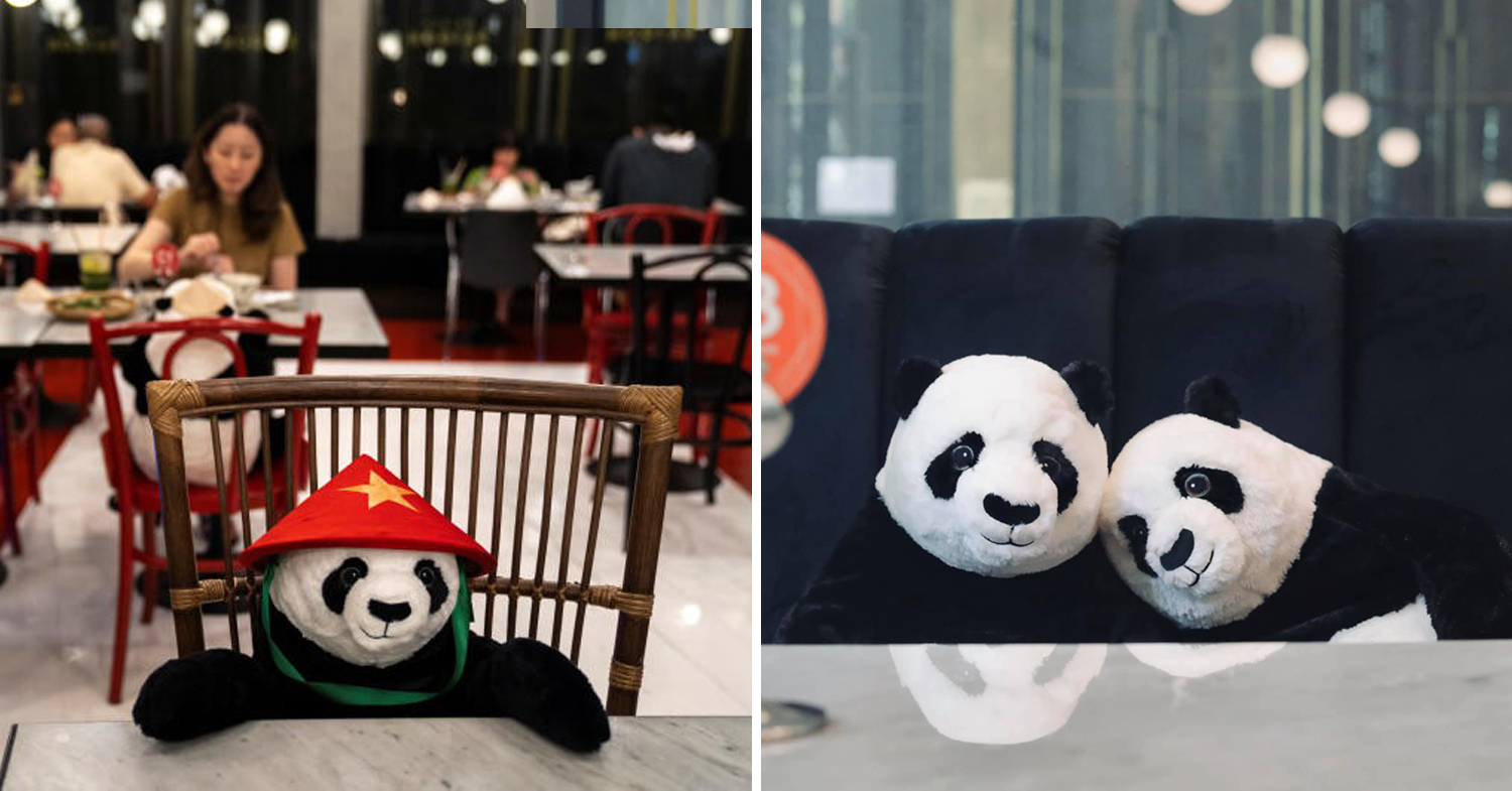 Bangkok Restaurant Offers Toy Panda Companions For Customers