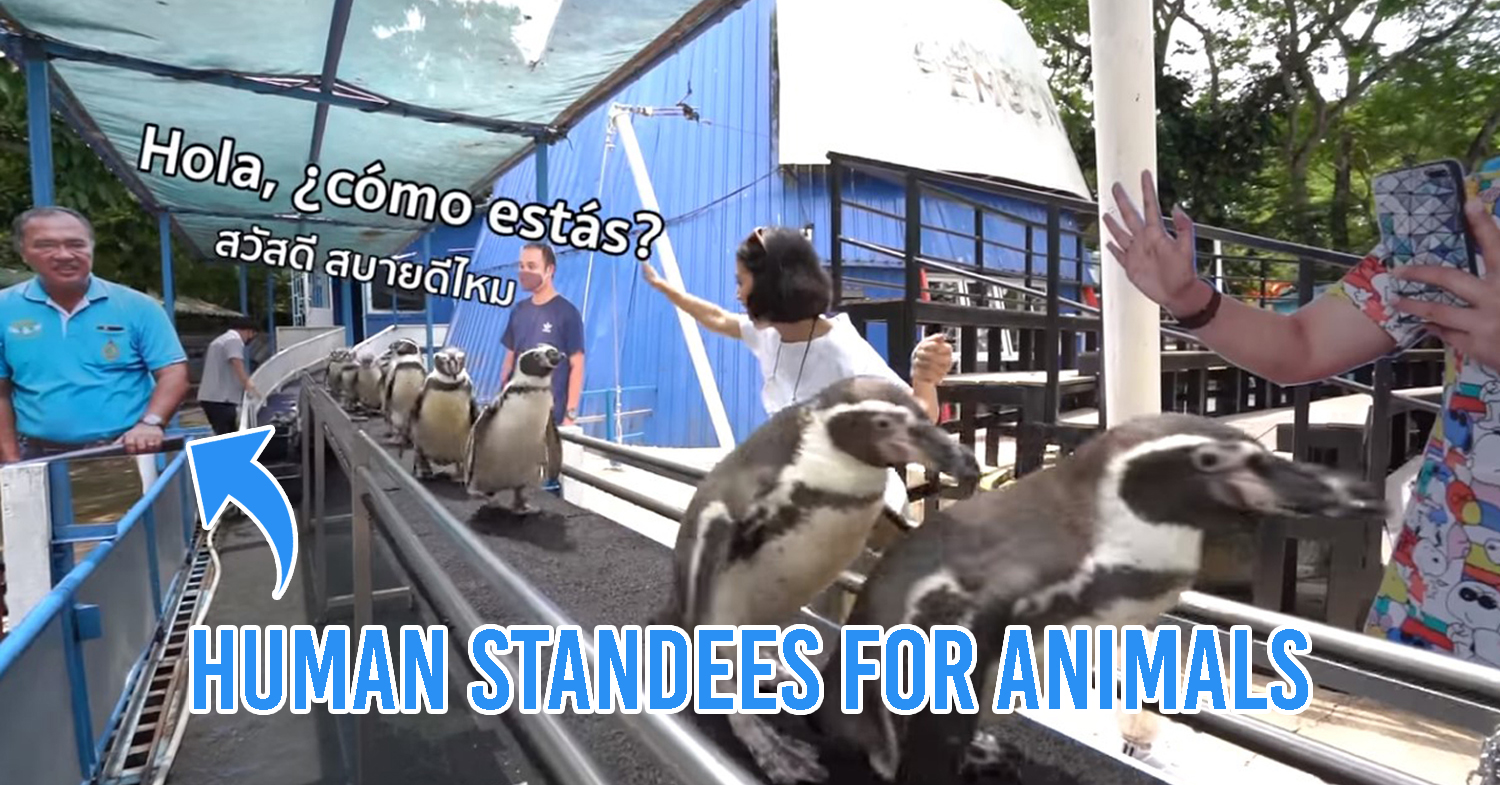 Thai zoo sets up human standees for animals 