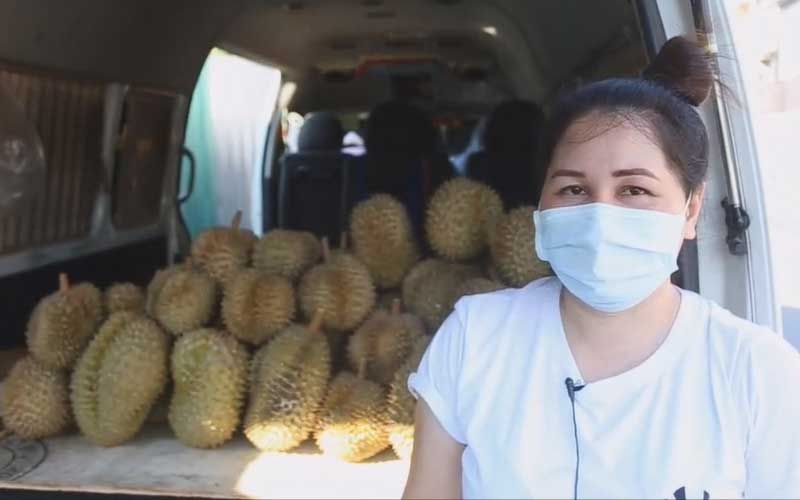 TukSom durian van