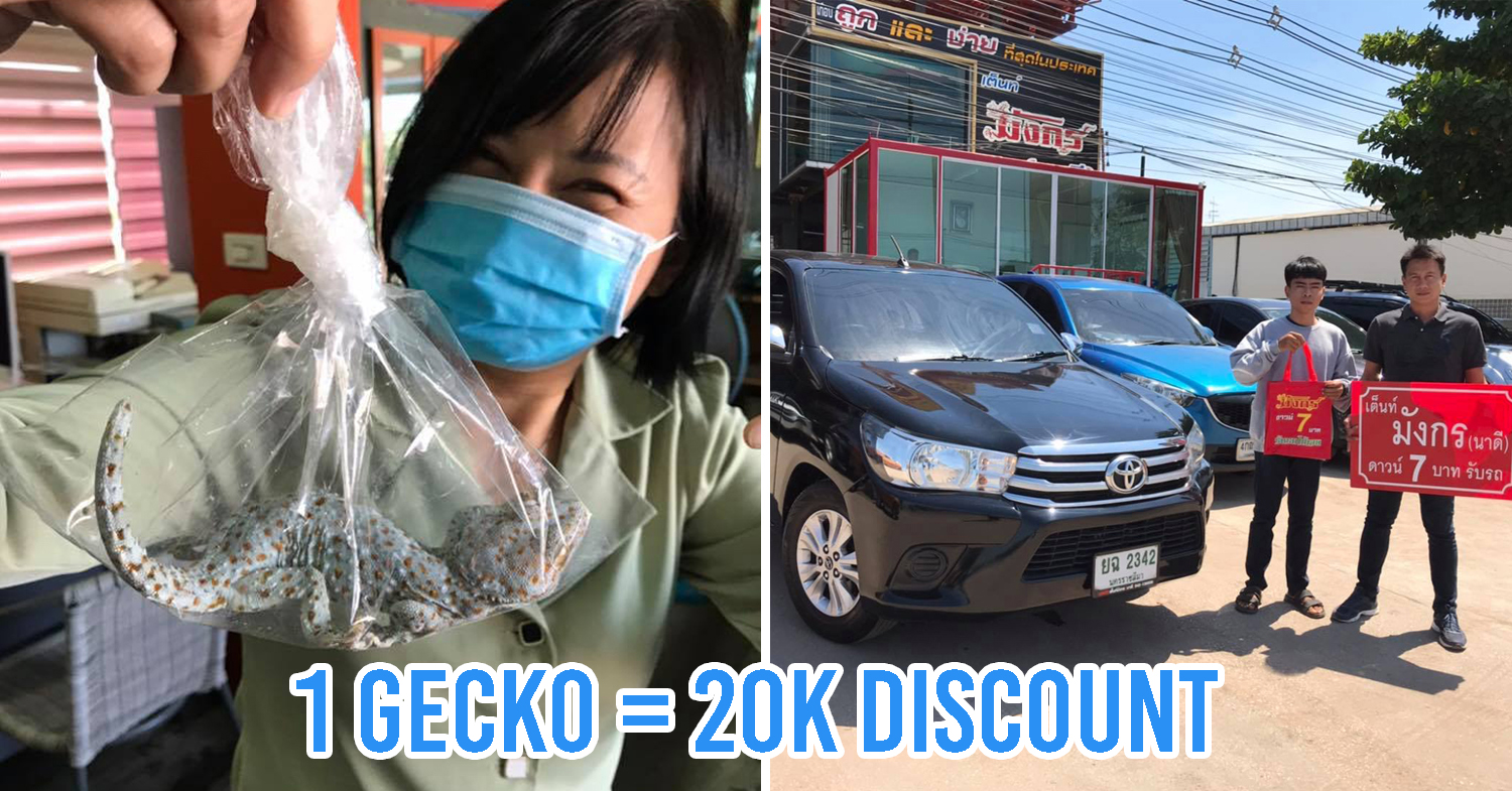 gecko discount in Thailand
