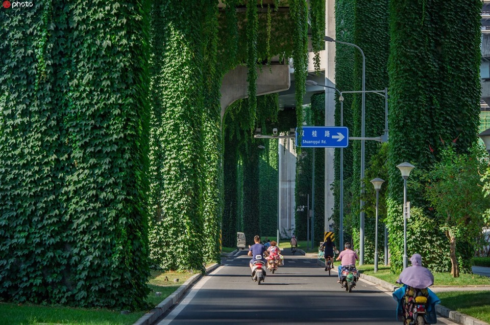 Green Corridor in Chengdu, China