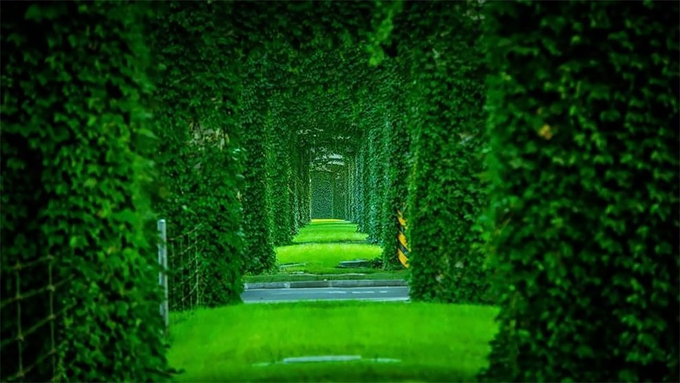 Green Corridor in Chengdu, China