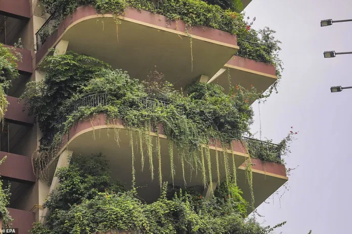 Forest Apartment in China
