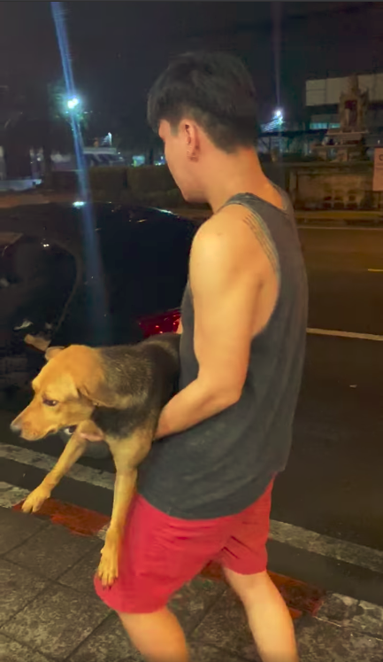 Drunk man and dog