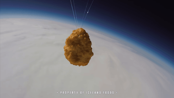 chicken nugget sent to space