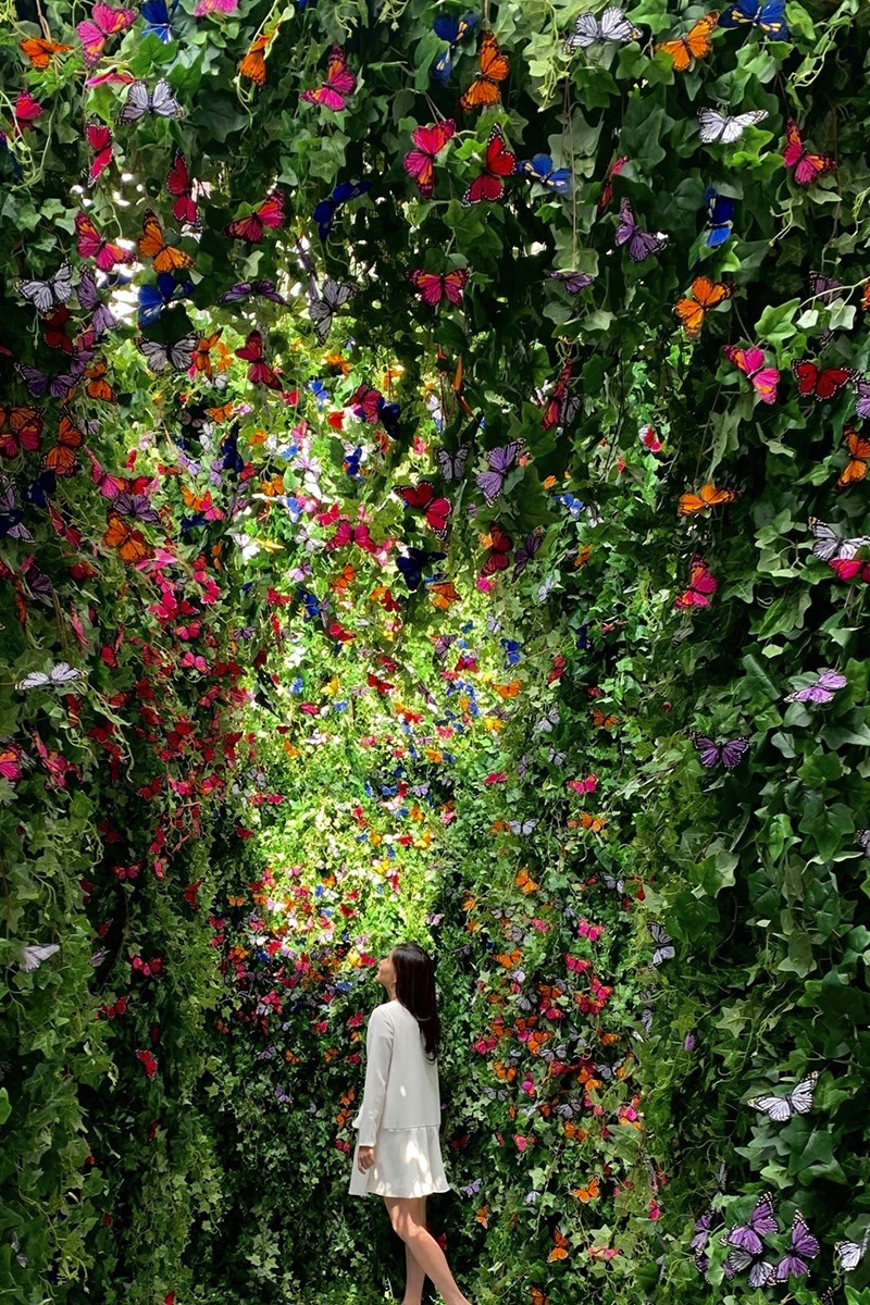Kay’s Boutique Breakfast In Bangkok Is Back With A Butterfly Tunnel
