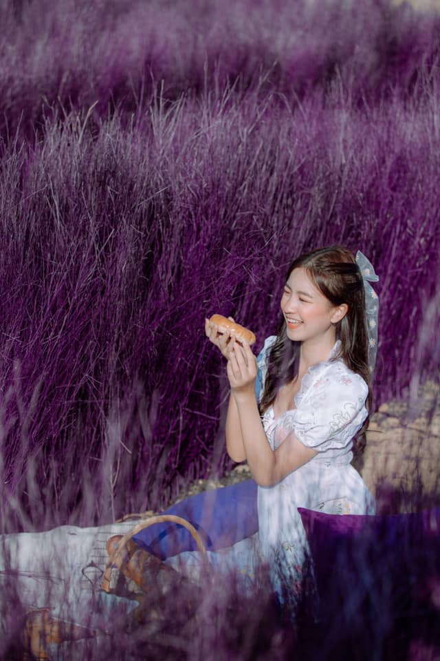 picnic-purplefield
