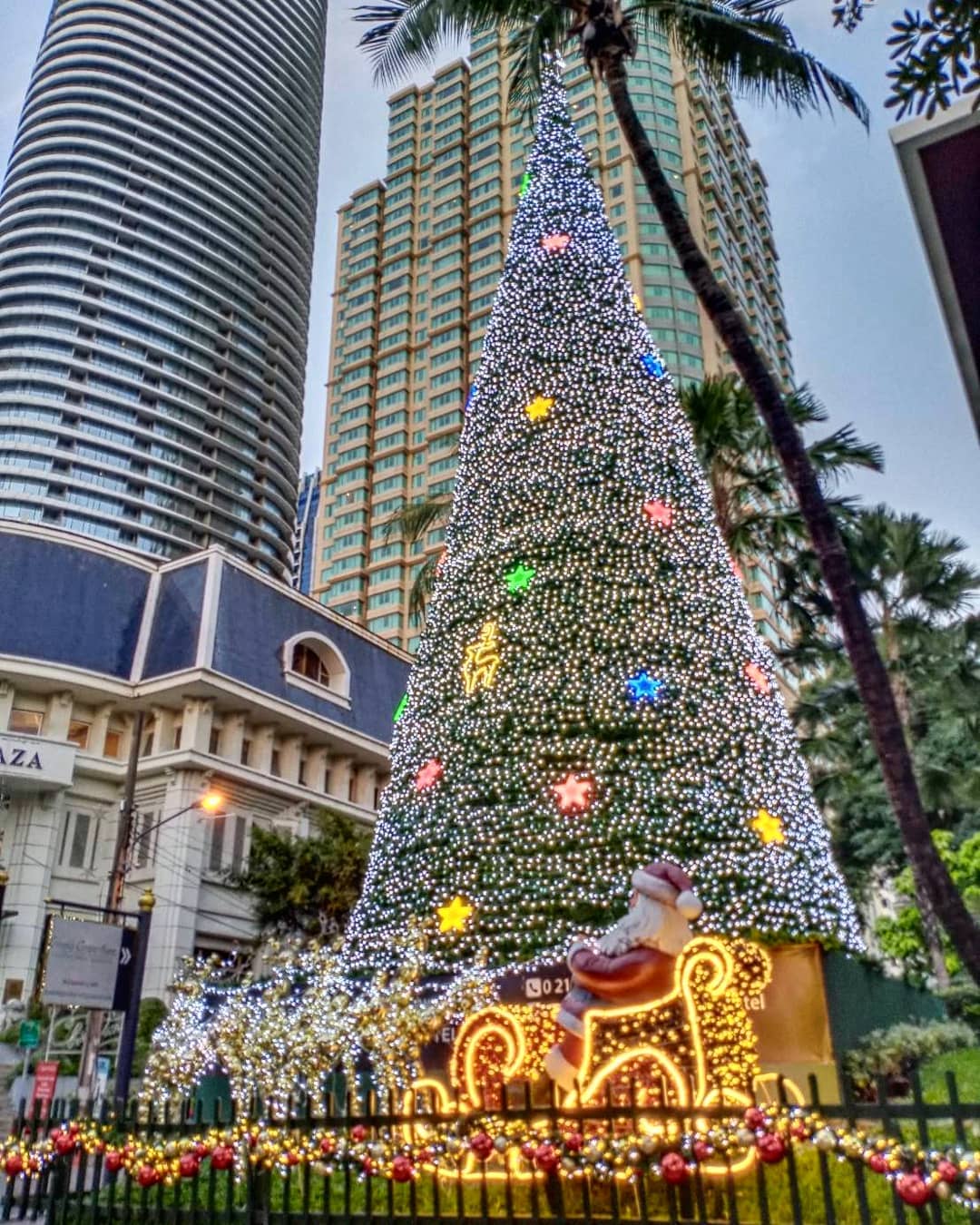 Anantara Christmas Tree