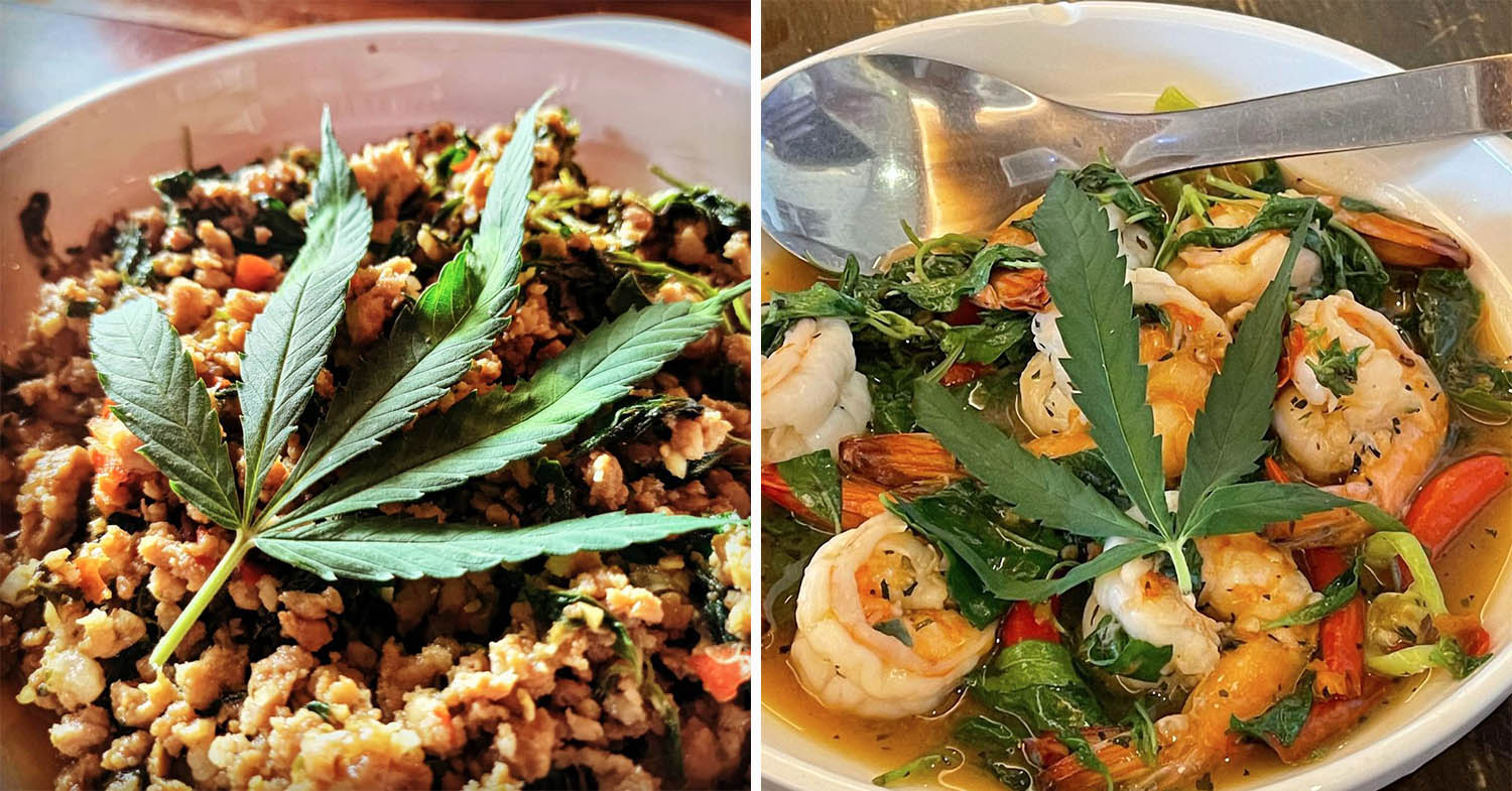 12 Hemp Restaurants In Thailand With Dishes And Drinks That’ll Def Satisfy The Munchies 