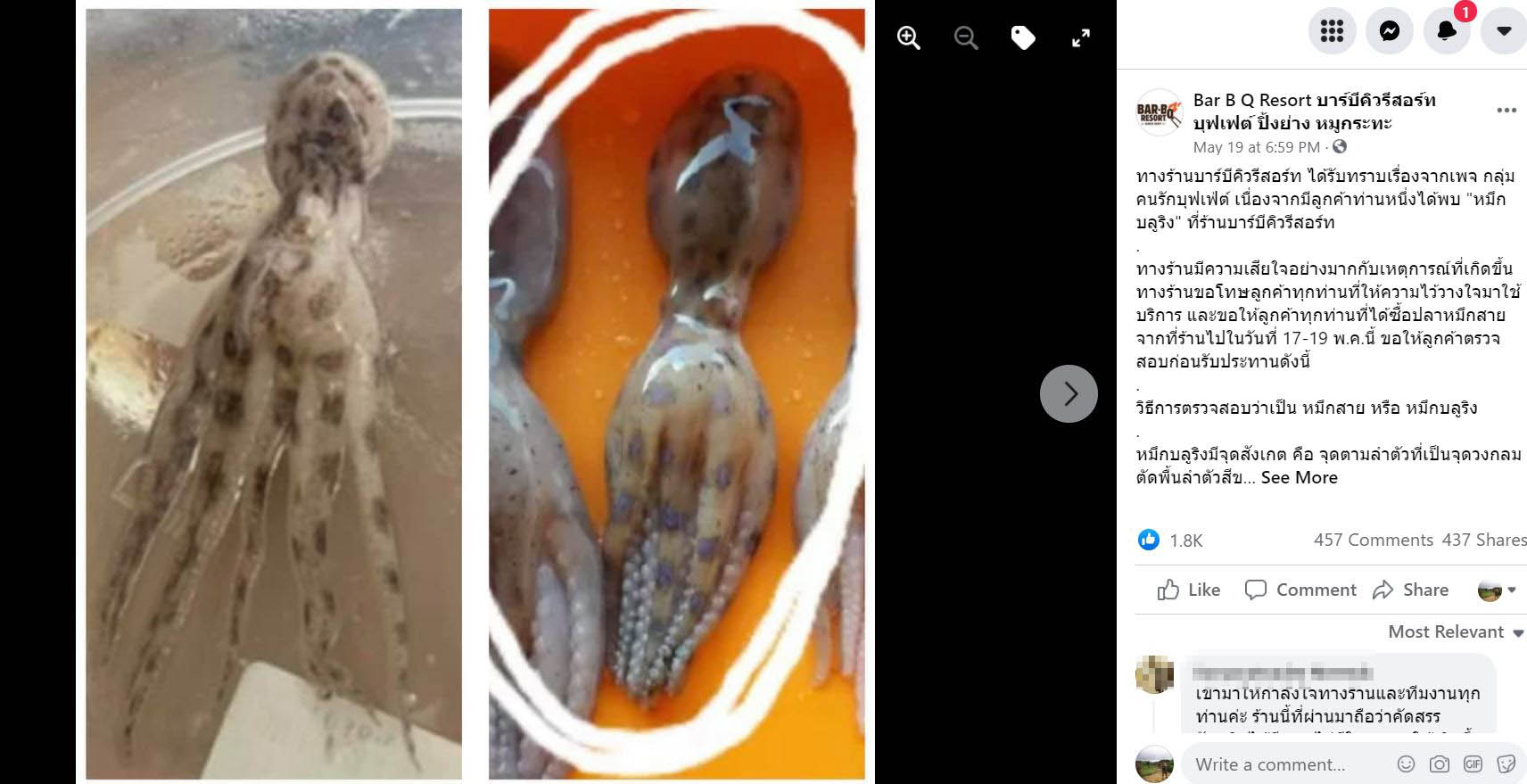 Blue-Ringed Octopus Found In Mookata Set, Restaurant Apologises For Error