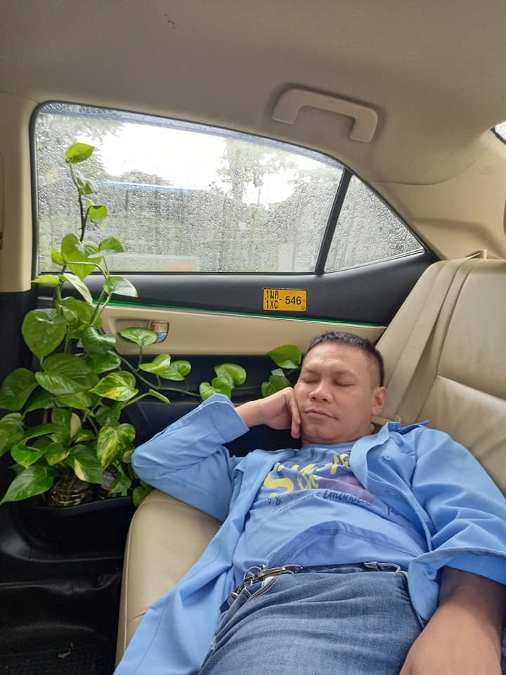 "jungled"-spotted-in-taxi