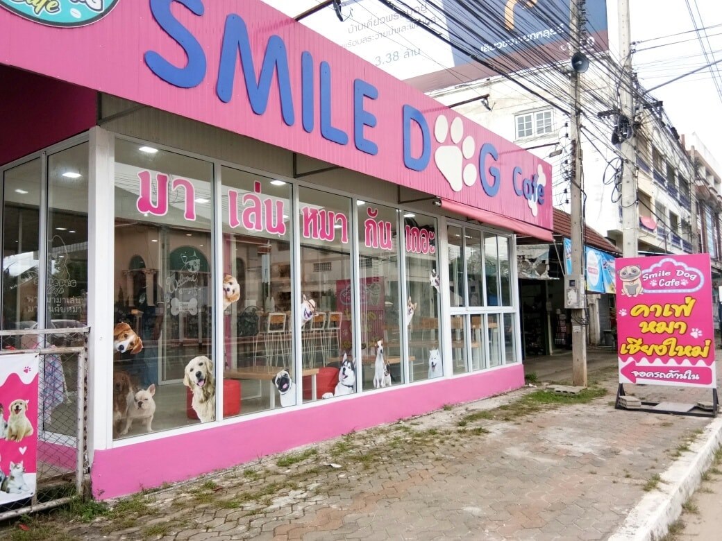 smile dog cafe
