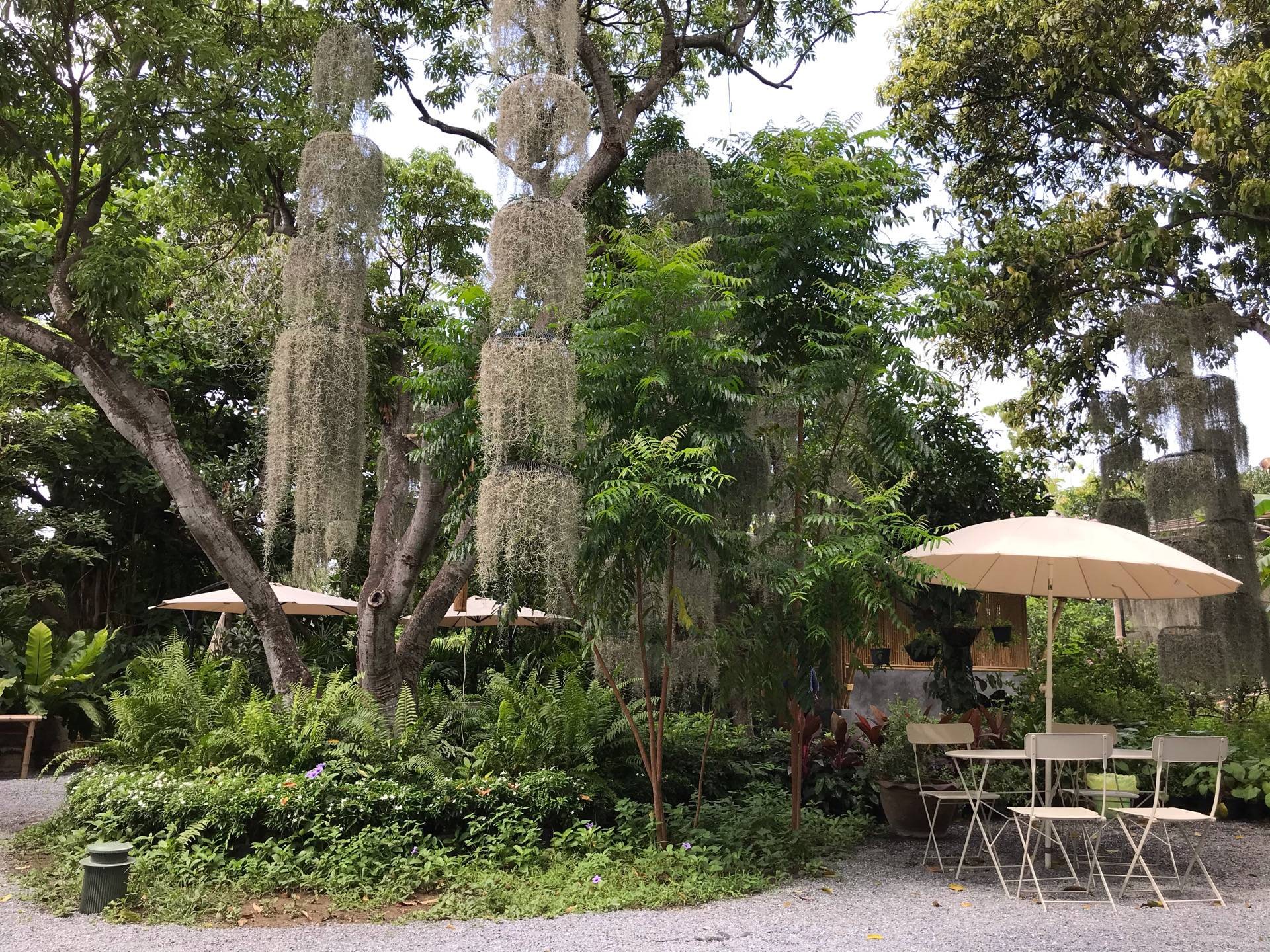 jungle-cafe-bangkok