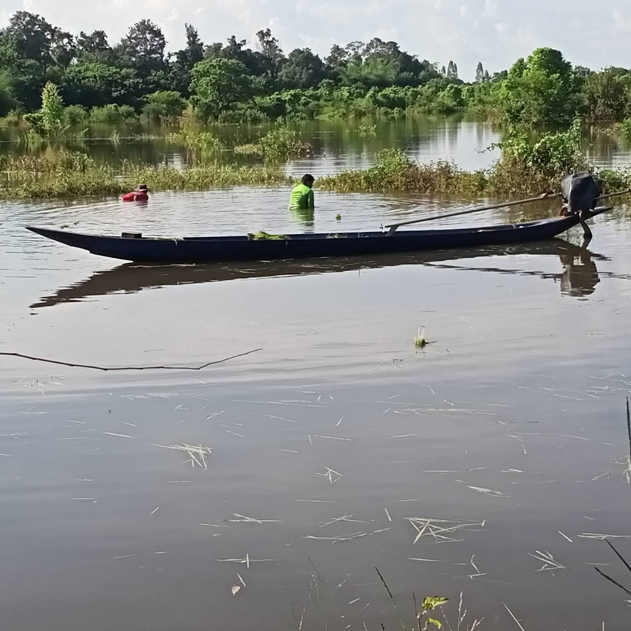 thai-farmers-dive