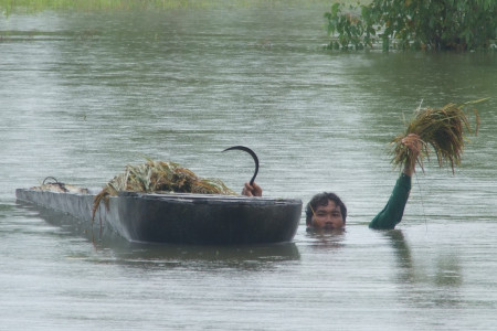thai-farmer-flood