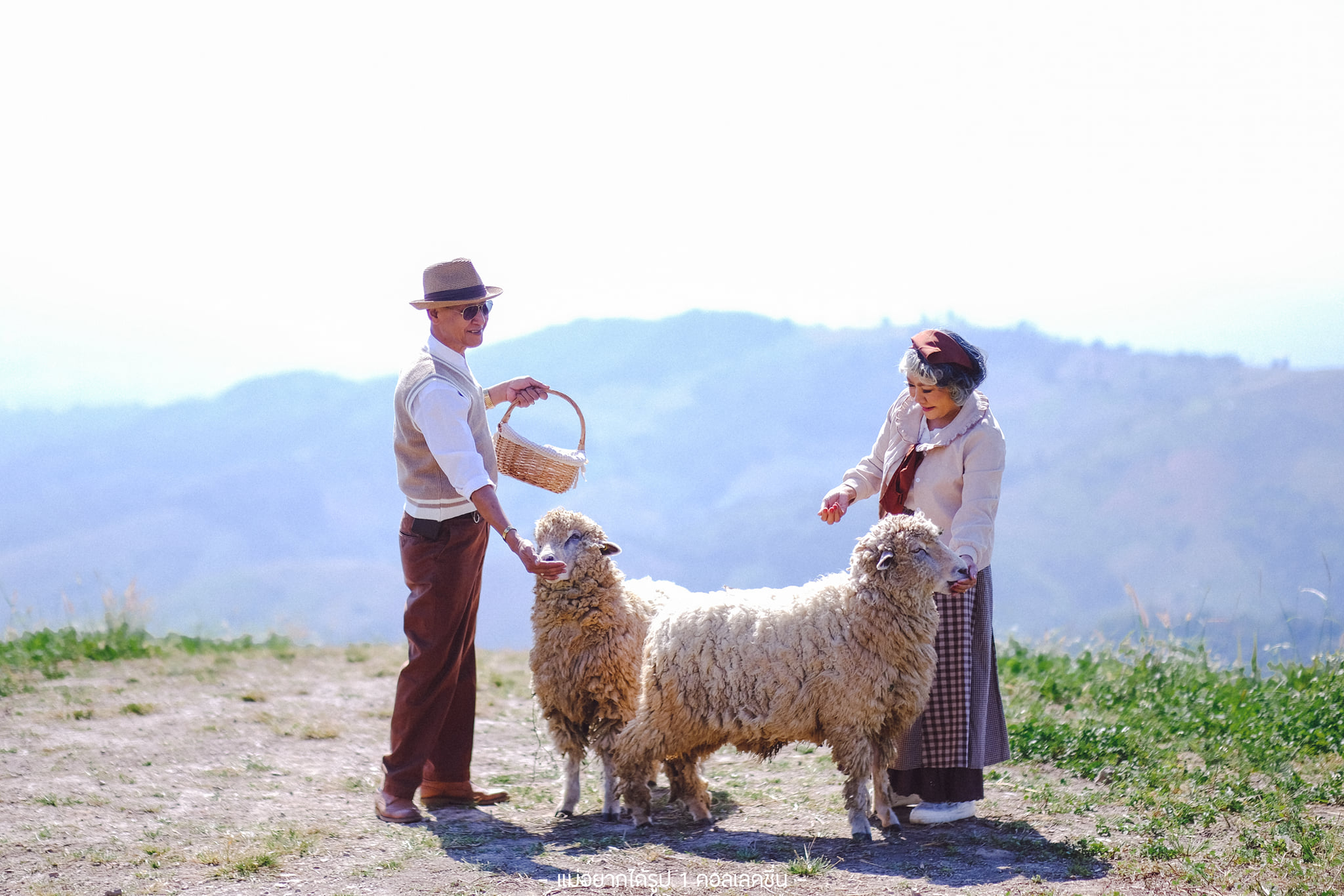 couple-feeds-goat