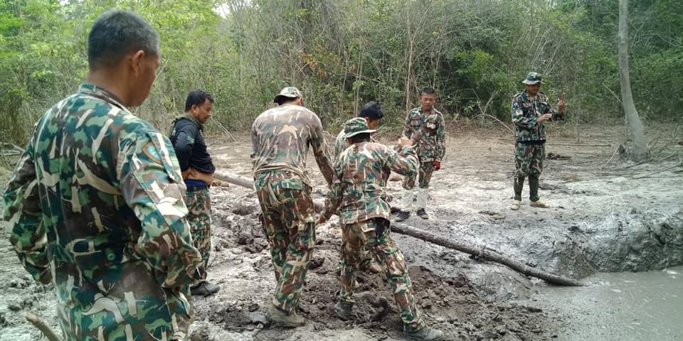 six baby elephants trapped in a muddy pit at Thap Lan National Park