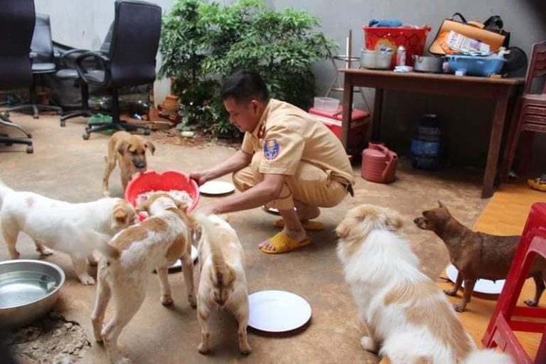 Vietnamese Policeman Rescues Stray Dogs Around Buon Ma Thuot Despite 