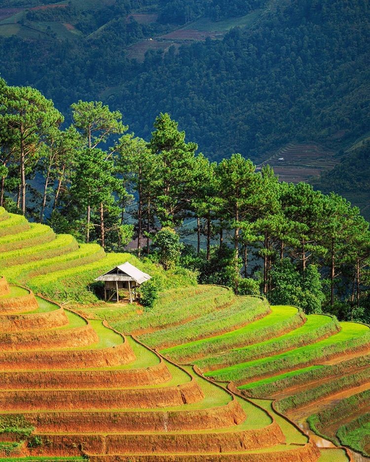 Vietnam natural landscape_Lùng Cúng Mountain 