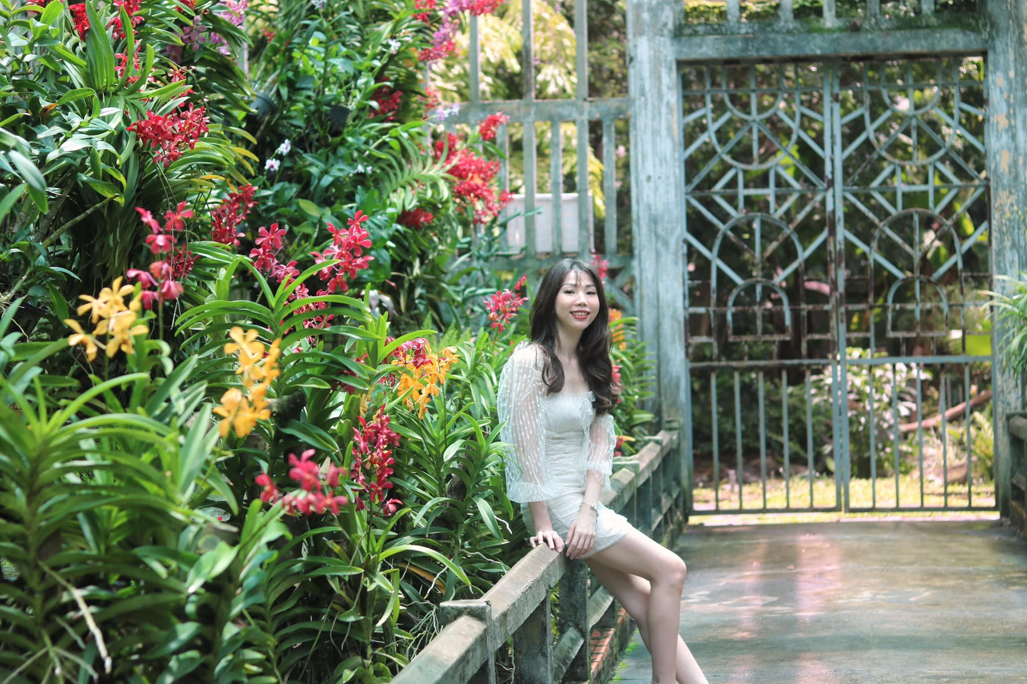 Saigon Zoo_orchid house