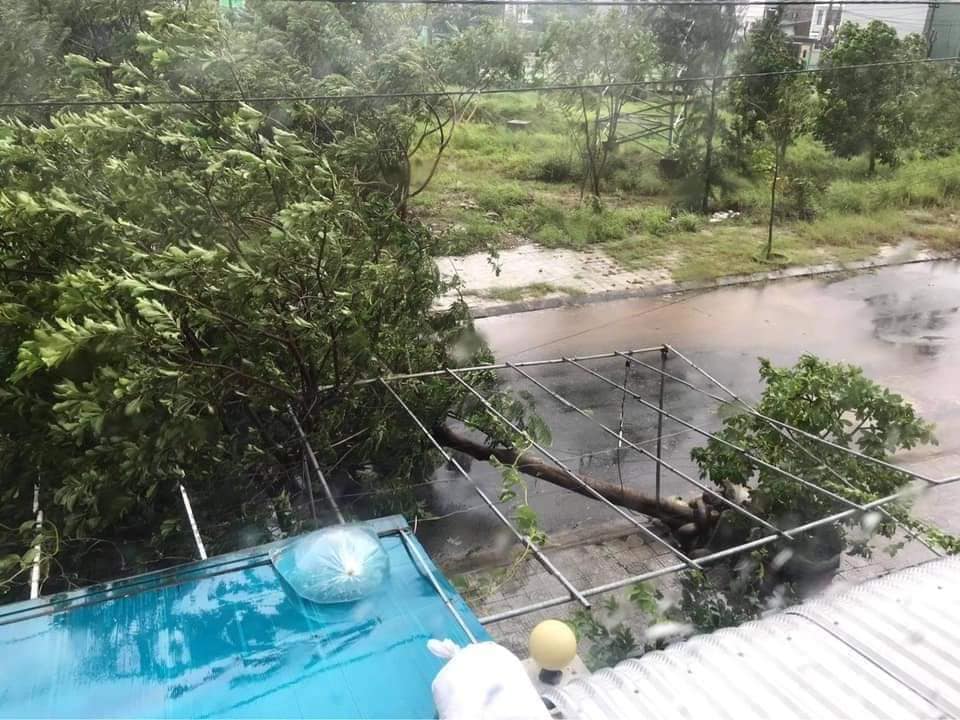 Typhoon Molave Quang Ngai