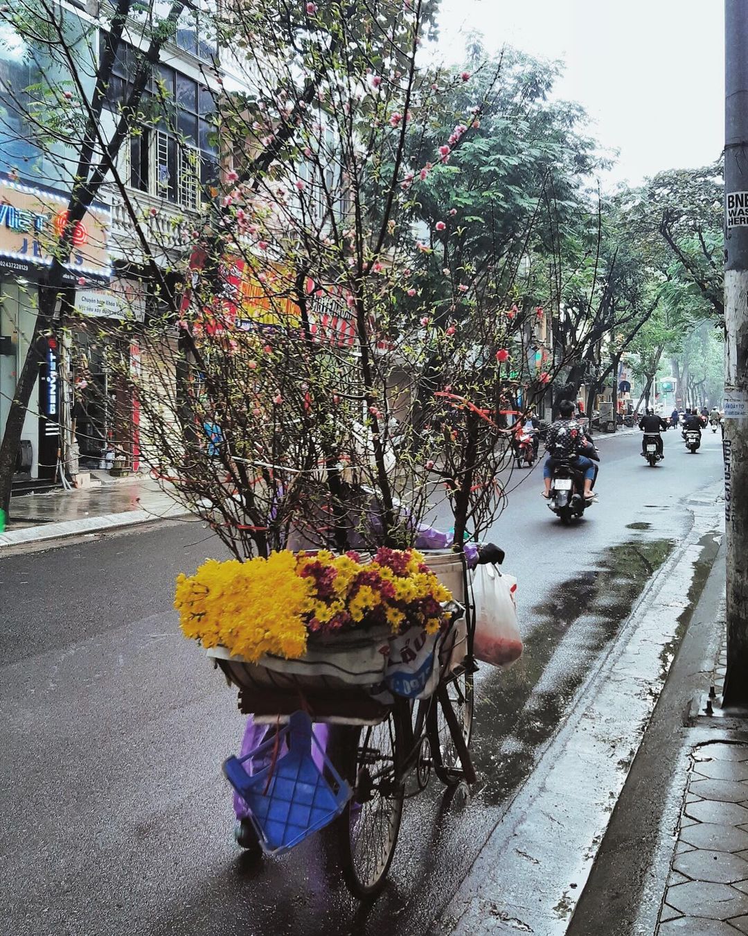 flower vendor in Hanoi