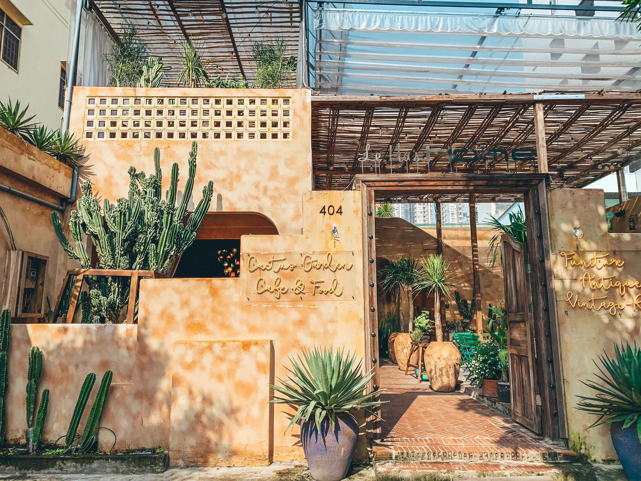 Leha's Home Cactus Garden Cafe & Food