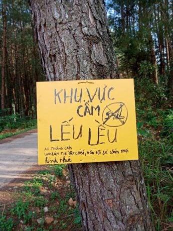 Vietnam Forest Has A Sign That Bans Sex To Protect Trees From 'Harm'