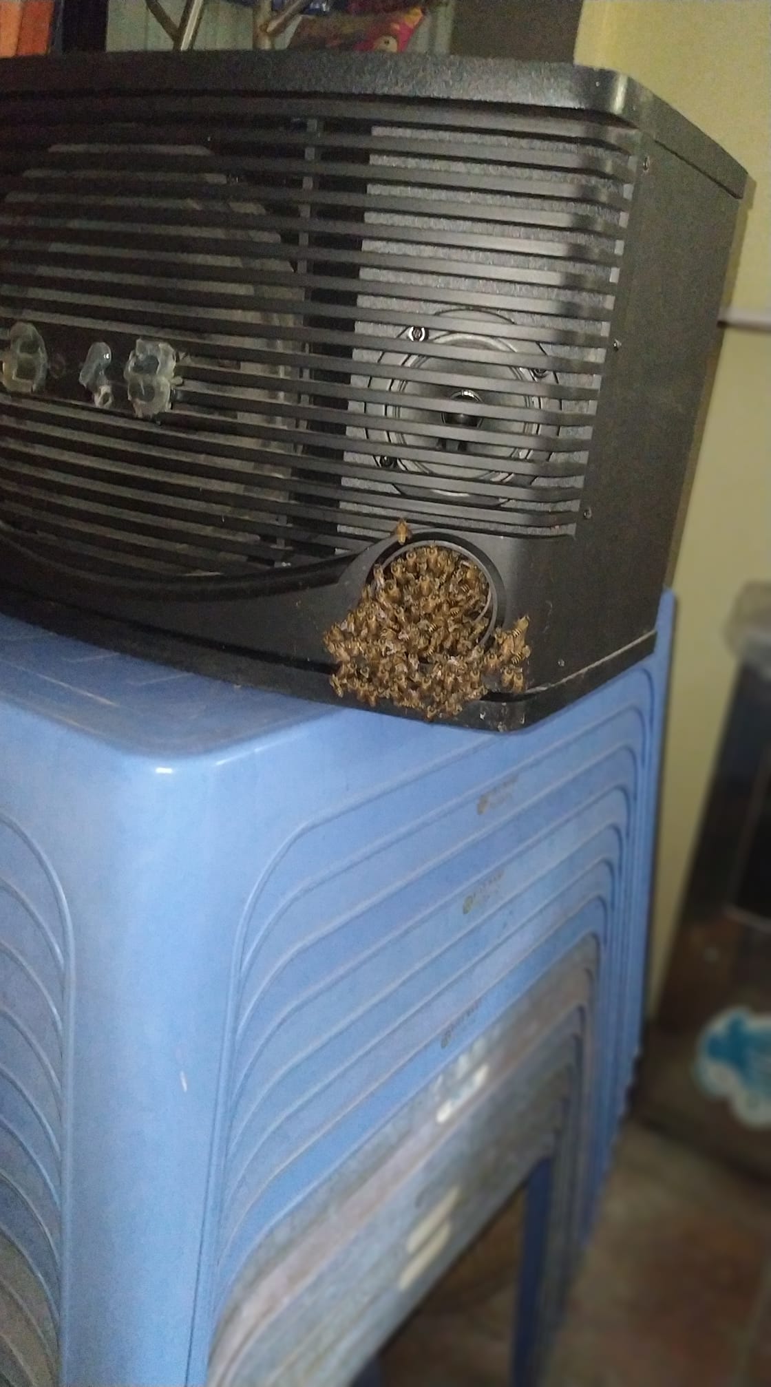 bee hive speaker 2