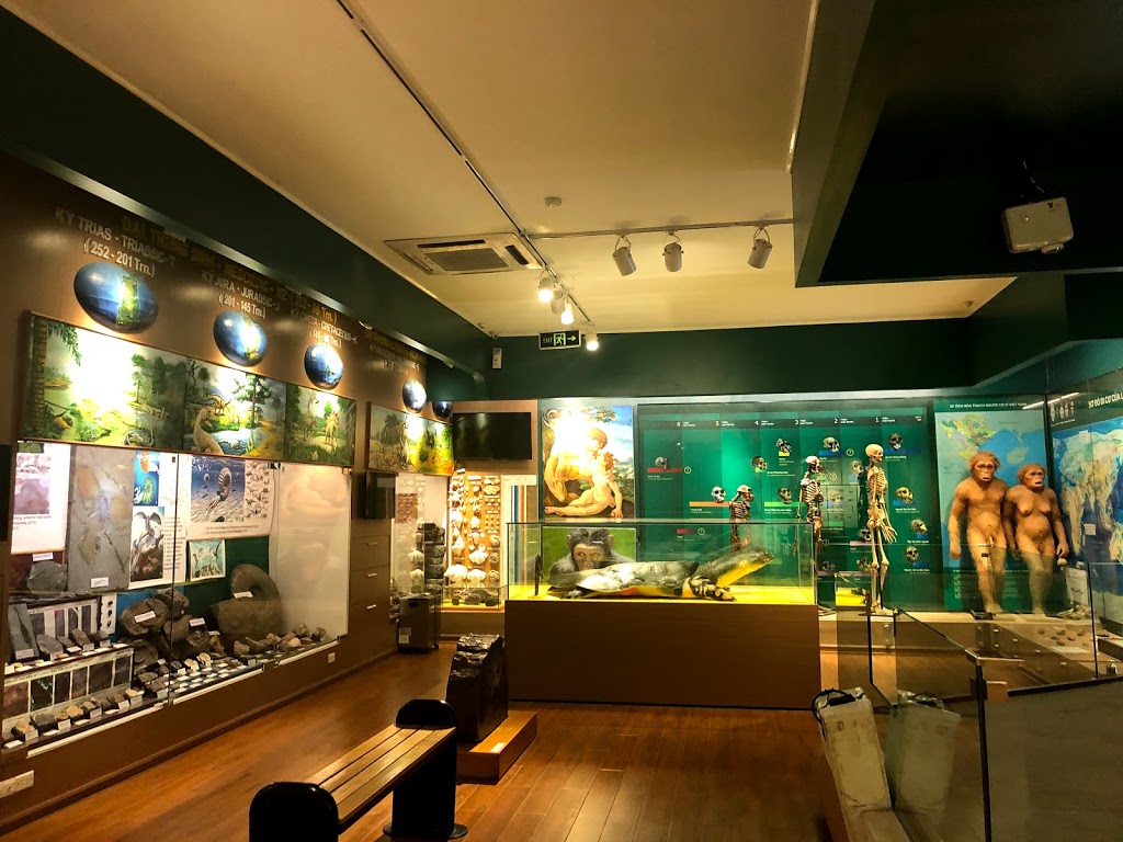 museums hanoi saigon - nature museum