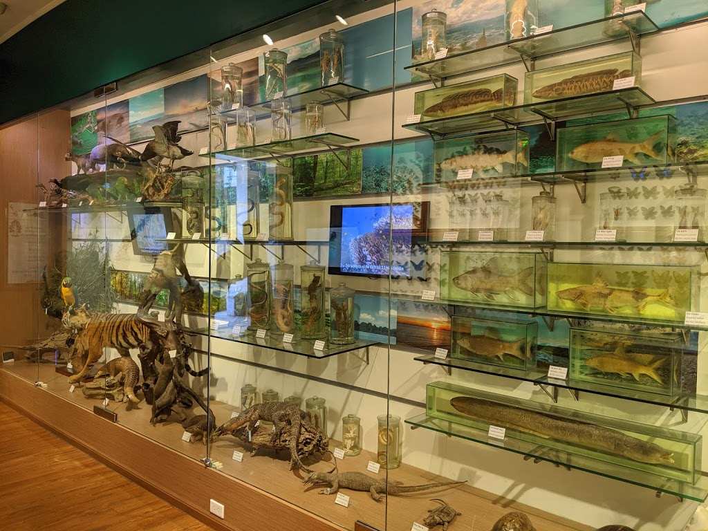 museums hanoi saigon - nature museum 2