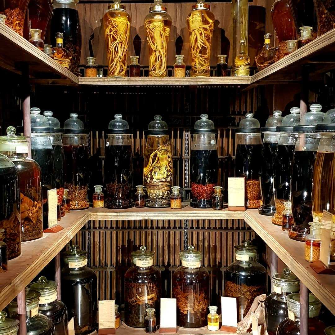 traditional medicine museum wine