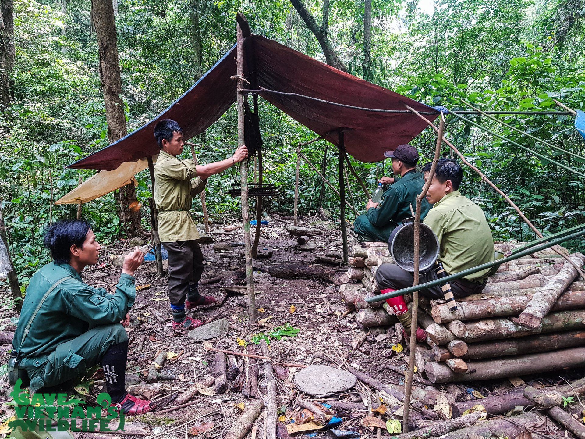 Nguyễn Văn Thái pangolin poacher camp destroy