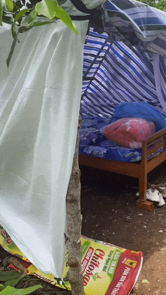 woman lives in tent gif 1