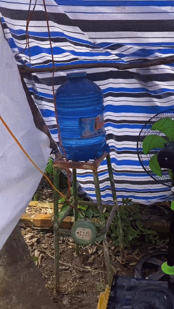 woman lives in tent gif 2