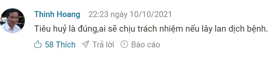netizen comment 3