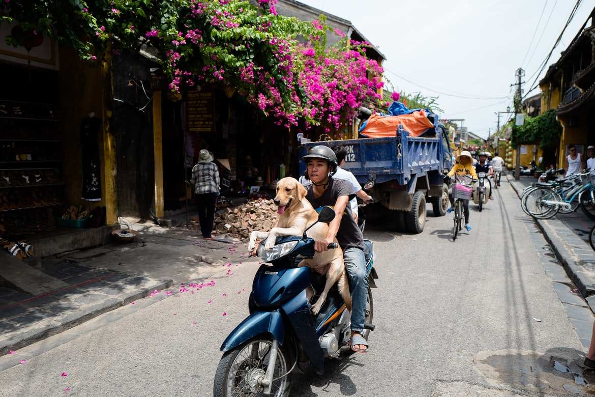 vietnam traffic tips - change your mindset