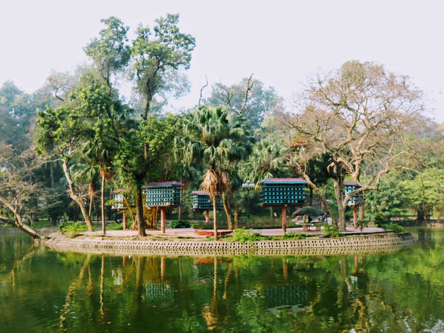 Hanoi Botanical Garden Lake