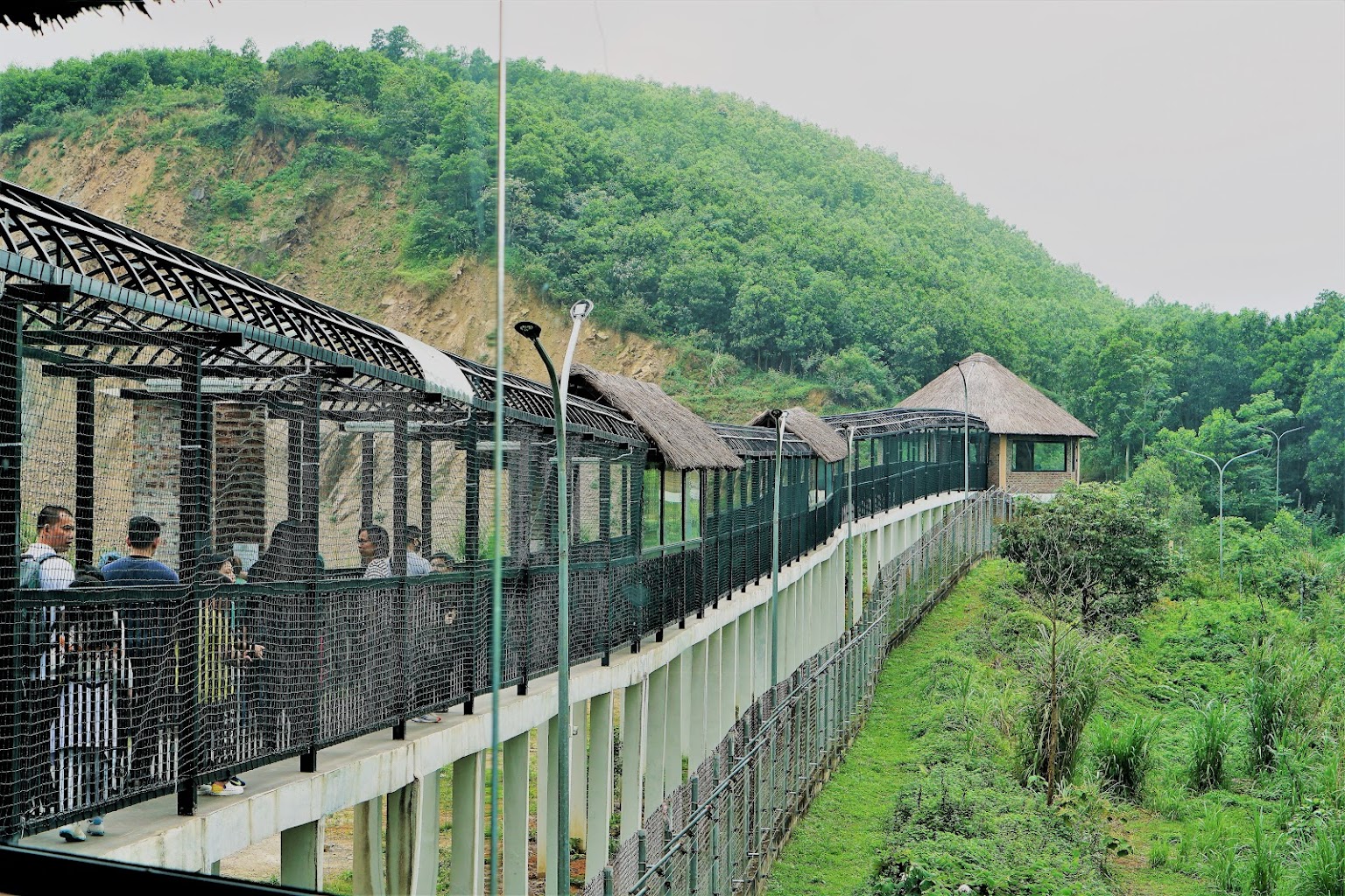 Bear Sanctuary Ninh Binh - Skywalk