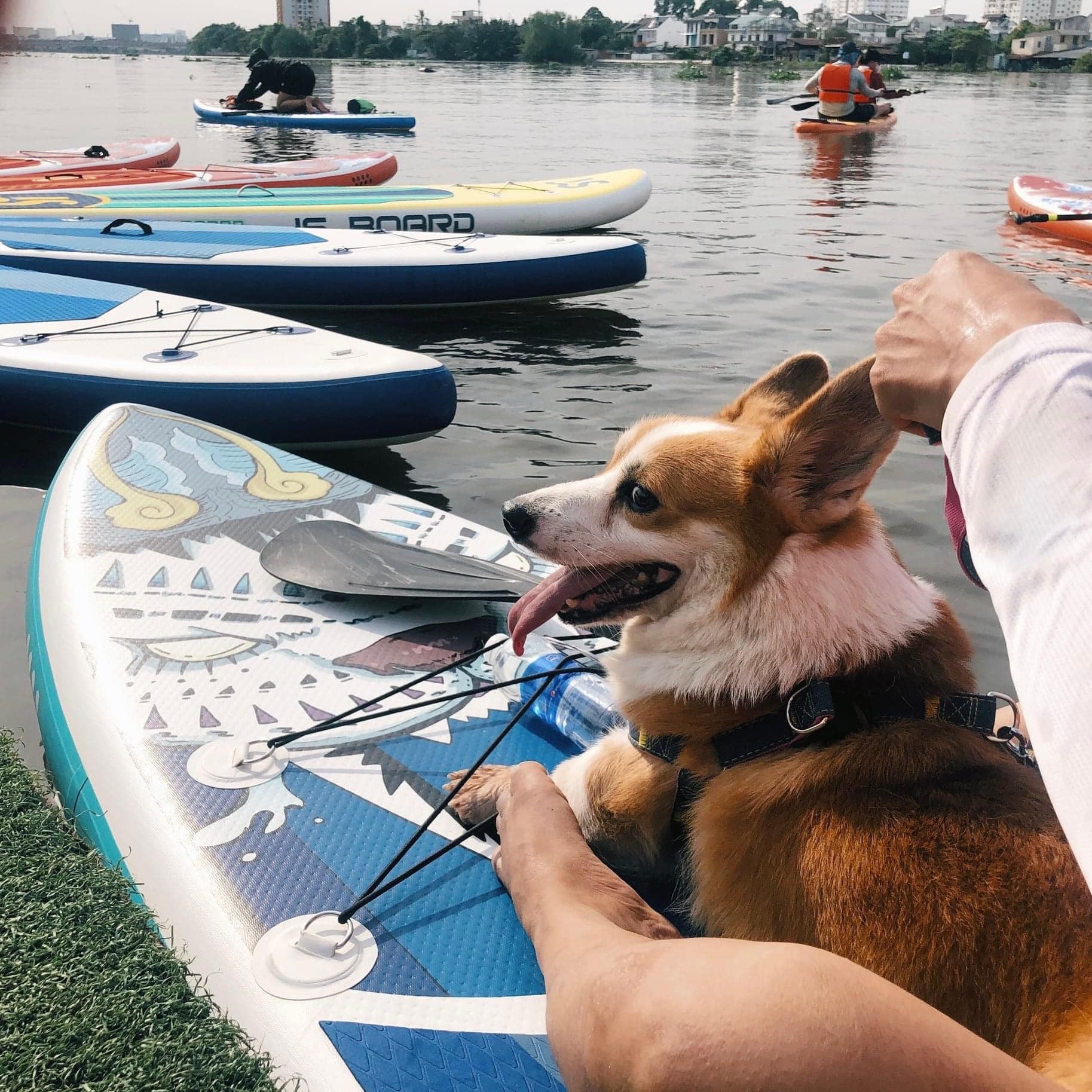 things to do in Saigon in December 2022_What SUP Dog on boat