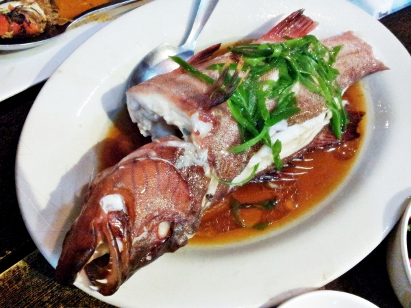 b2ap3_thumbnail_Street-Food---Dampa-Paluto-Seafood-11-Steamed-Fish.jpg
