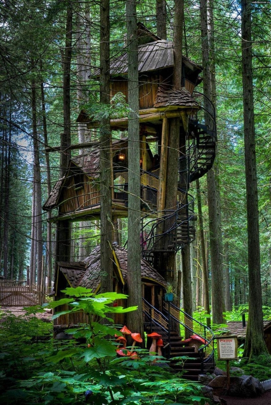b2ap3_thumbnail_amazing-treehouses-4.jpg