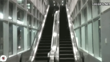 Escalator-Slide.gif