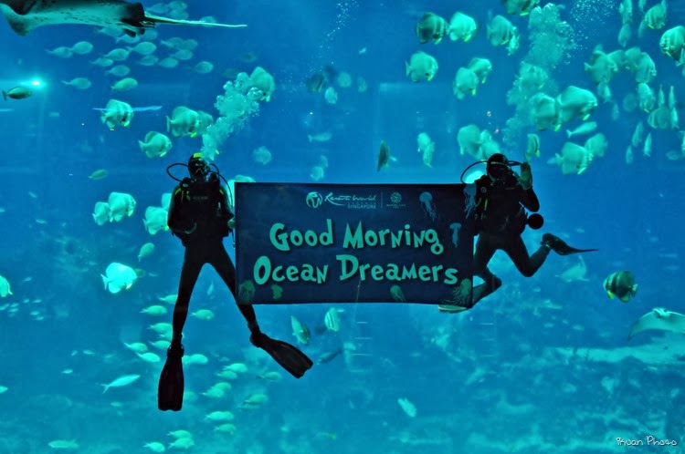 Ocean-Dreams-2.jpg