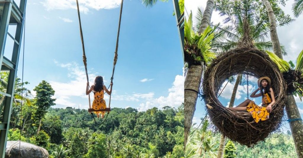 Bali Indonesia Swing Ubud Swing Swings Honeymoon Pulau Bailiku