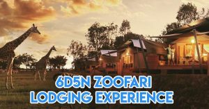zoofari sydney lodging